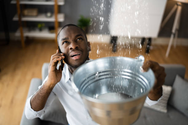 Best Water damage restoration experts  in Underwood, IA