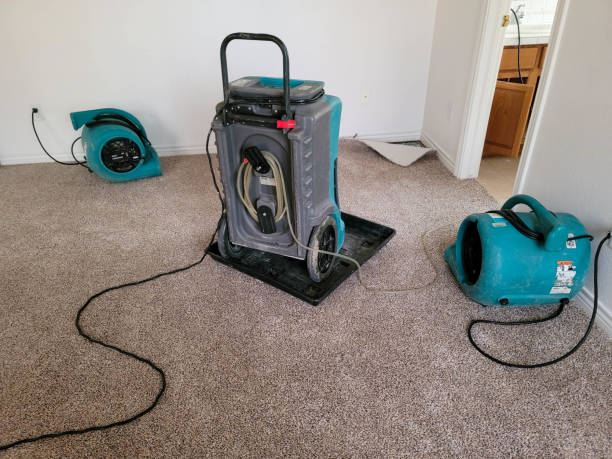 Best Flood damage cleanup  in Underwood, IA