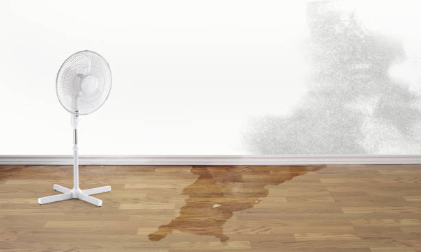  Underwood, IA Water damage restoration Pros