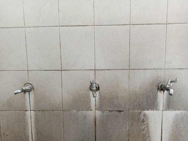 Best 24-hour water damage restoration  in Underwood, IA